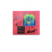 SIGNED Like Nirvana CD